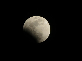 IMG_8795
