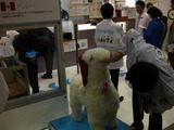 121602ミラバ2