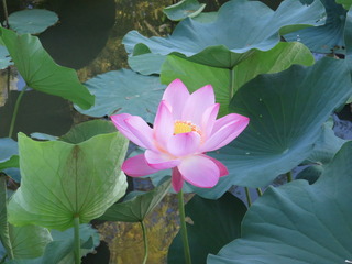080700