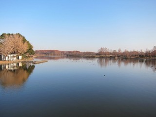 122900水元公園