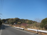 1-IMG_4503