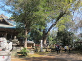 1-IMG_1471