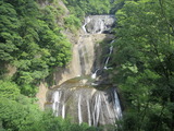 1-IMG_6725