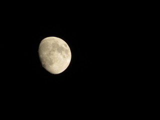 IMG_0854