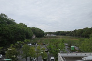 IMG_6077