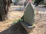1-IMG_1441