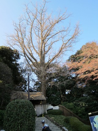 122900戸定ガ丘歴史公園