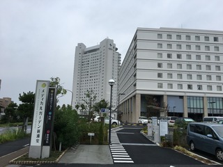 IMG_0548
