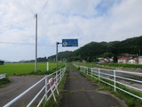1-IMG_6587