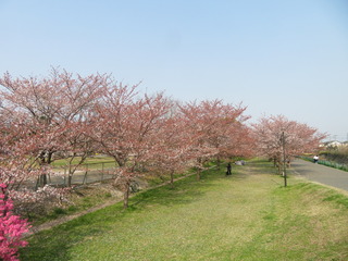 z0402