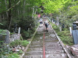 1-IMG_6531