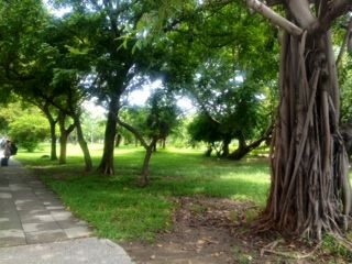 中央公園2