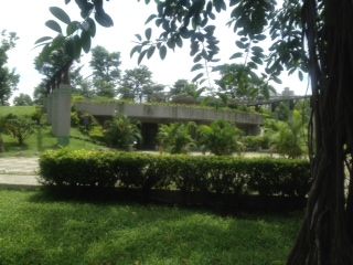 中央公園
