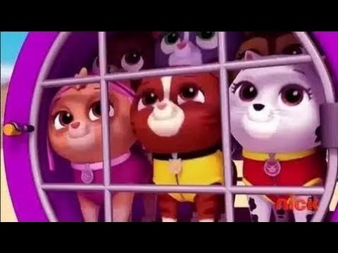 【犬猫動画】「最高におもしろ犬」 かわいいゴールデンレトリバーのハプニング, 失敗動画集  HD 27  - 長さ: 10:04。