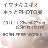 offcm-banner-01