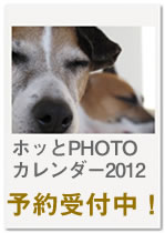 offcm-banner-01