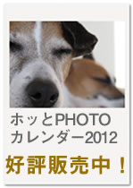 offcm-banner-01
