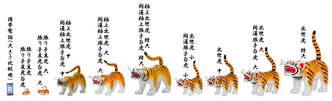 tigers
