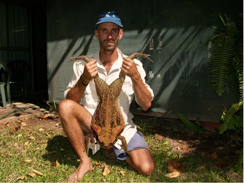 cane_toad