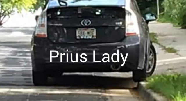 prius-lady