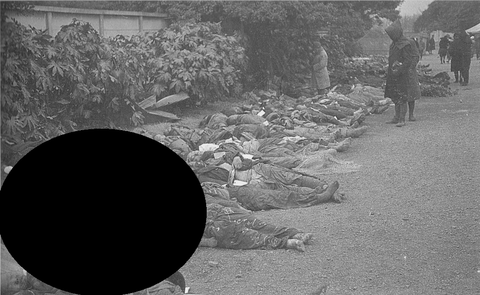 Photo-TokyoAirRaids-1945-3-10-Ueno_Dead_Bodies