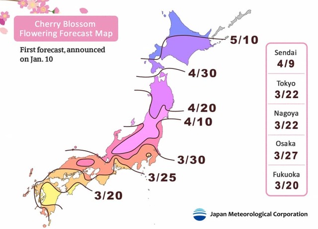 n-sakura-b-20190116_v0.2-870x628