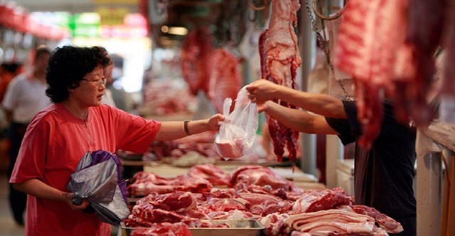 fake-meat-thumbnail
