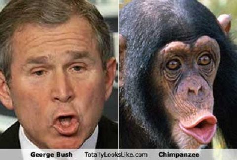 celeb_lookalikes6