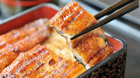 160823141447-japan-food22-hamamatsu-eel-hvbcjnto-super-169