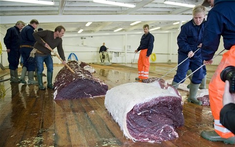 whale-meat_2575542b