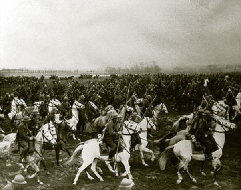 p-cavalry