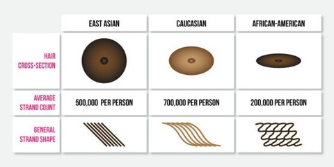 race-differences-in-hair-types