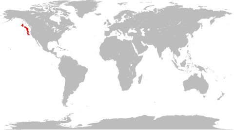 1509298564854