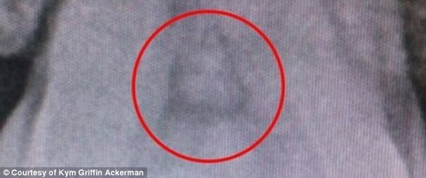 27480EA200000578-3025537-image-a-22_1428161705323