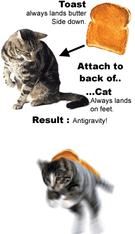 Cat_toast_swirl