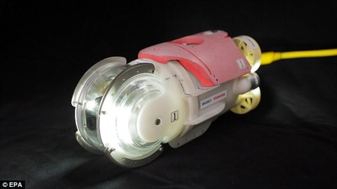 4177351300000578-4610124-image-a-29_1497608716339