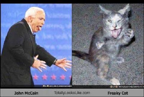 celeb_lookalikes1