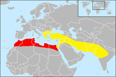 1415074149037