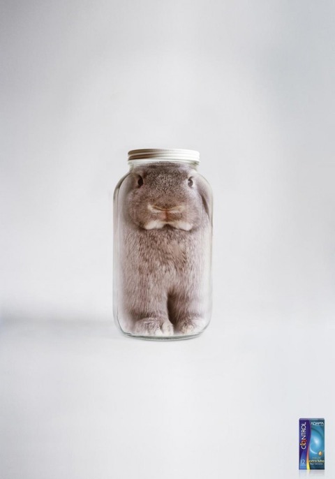 adapta-control-lube-rabbit-716x1024