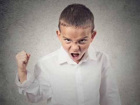 tantrums+and+meltdowns+in+autistic+students
