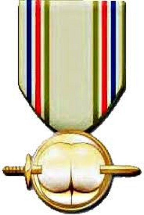 resized