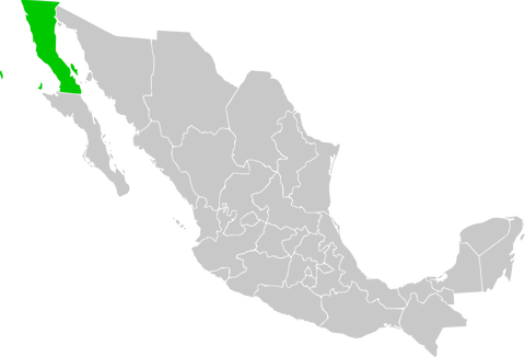 svg