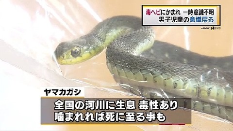 news3118664_38