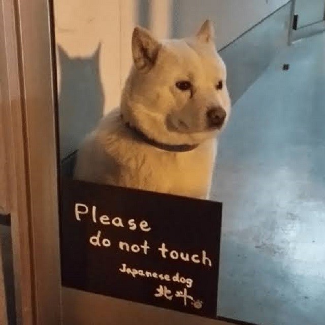 1554772315858