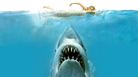 jaws_main-banner_photo