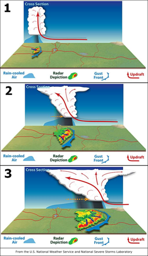 347px-Derecho_development