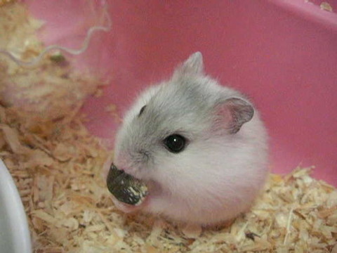photo_24