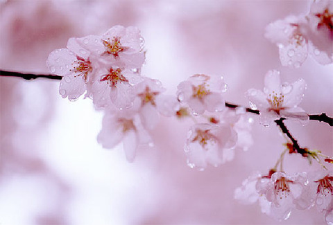 img74c8b365fy8njk