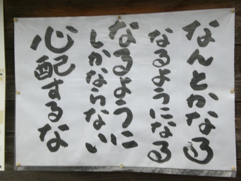 531d2c5b s