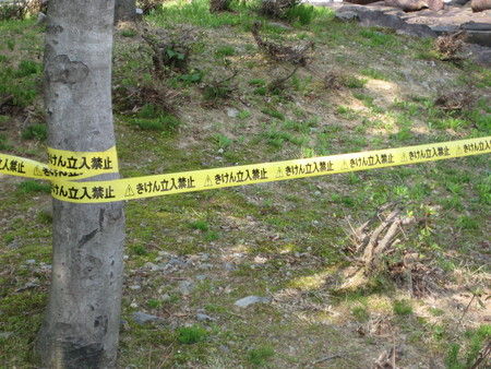 20080430141621